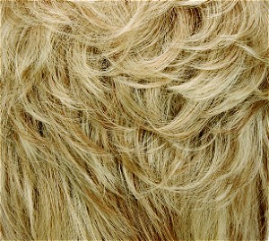 14/88AB Honey Blonde, Pale Golden Blonde Highlights