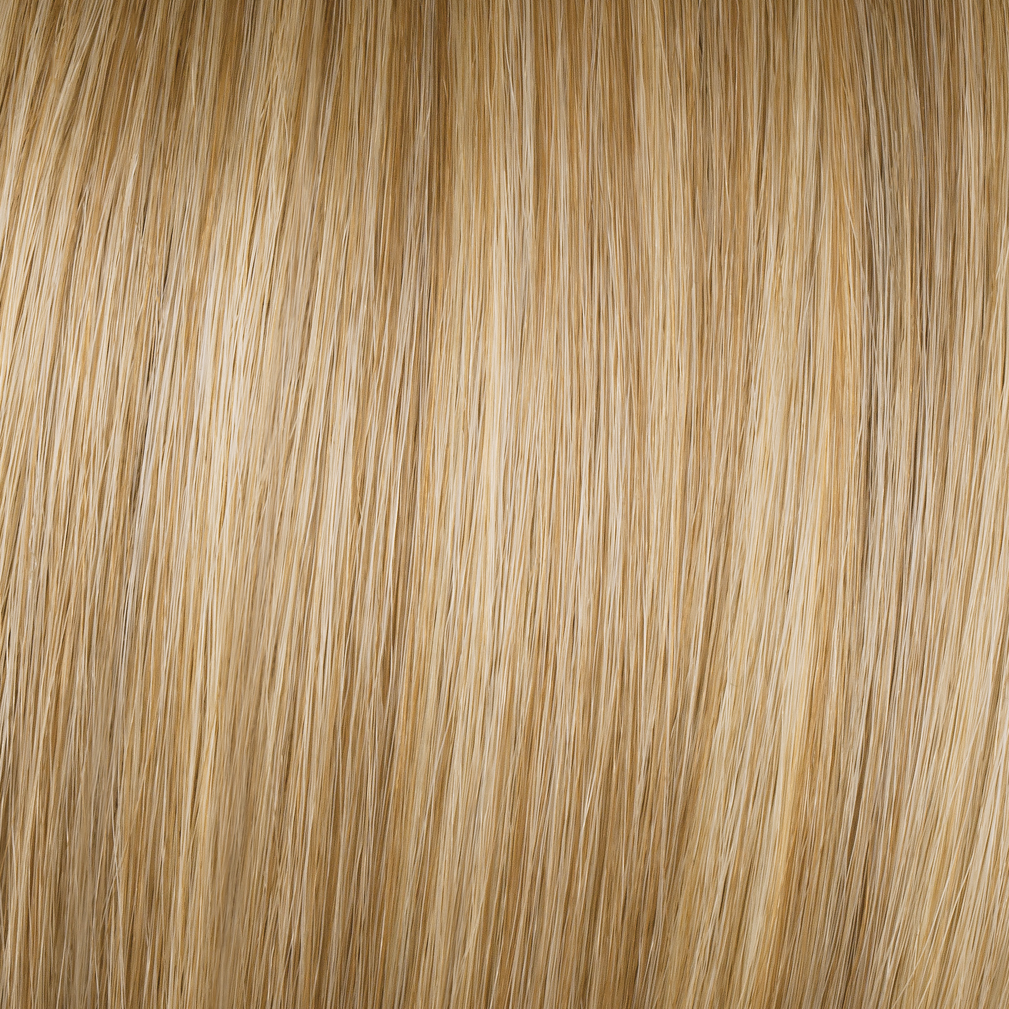 GF14/88 Golden Wheat