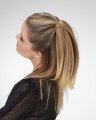 Sleek Mid-Length Pony by Hothair