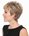 Pretty Short Pixie Wig by Hairdo