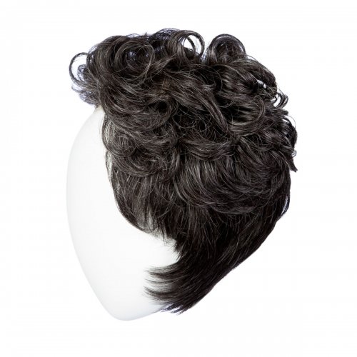 Dignified Wig by Him Hairuwear